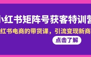 小红书-矩阵号获客特训营-第10期，小红书电商的带货课，引流变现新商机