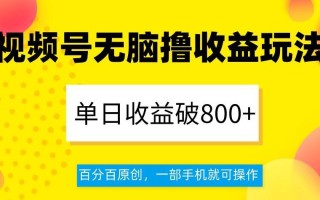 视频号无脑撸收益玩法，单日收益破800+，百分百原创，一部手机就可操作【揭秘】