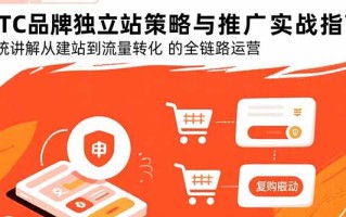 DTC品牌独立站策略与推广实战指南，系统讲解从建站到流量转化的全链路运营