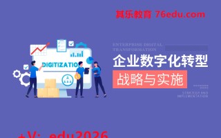 企业数字化转型战略与实施（2集） mp4高清无水印视频教程网盘免费下载