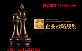 如何制定企业战略规划（1集） mp4高清无水印视频教程网盘免费下载