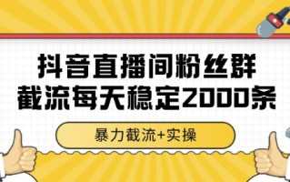 抖音直播间粉丝群暴力截流，一台电脑每天稳定2000条数据，暴力截流+实操 【揭秘】