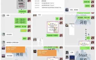 (8728期)电商平台高佣金网拍，靠谱项目，执行就能赚钱，简单操作