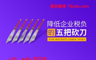 降低企业税负的五把砍刀（2集） mp4高清无水印视频教程网盘免费下载
