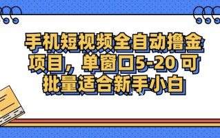 手机短视频掘金项目，单窗口单平台5-20 可批量适合新手小白