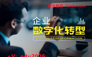 企业数字化转型（6集） mp4高清无水印视频教程网盘免费下载