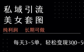 私域卖套图每天3-5单 每单利润99-2张+