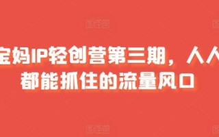 宝妈IP轻创营第三期，人人都能抓住的流量风口