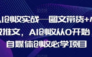 AI创收实战—图文带货+小说推文，AI创收从0开始，自媒体创收必学项目