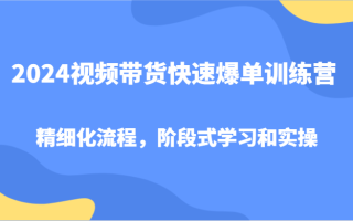 2024视频带货快速爆单训练营，精细化流程，阶段式学习和实操