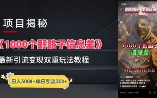 一千个野路子信息差最新玩法教程-变现+引流的玩法具体拆解【揭秘】