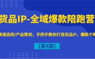 货品IP-全域爆款陪跑营【第4期】赛道选择/产品策划，手把手教你打造货品IP，爆款不断