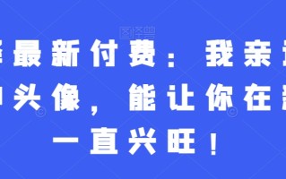 灏泽最新付费：我亲选了几种头像，能让你在新年一直兴旺！