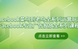 Facebook-菜鸟到老鸟全系列运营玩法+Facebook-专业广告投放全系列课程