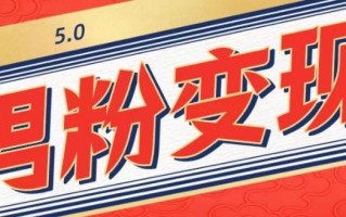 工头的1001个铲子[高级篇]之第1个铲子：外面卖1680的男粉变现项目5.0