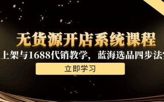 无货源开店系统课程，手动上架与1688代销教学，蓝海选品四步法实战