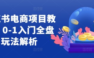 小红书电商项目教程，0-1入门全盘玩法解析