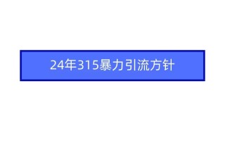 (9398期)2024年315暴力引流方针
