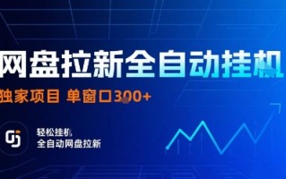 网盘拉新全自动挂G，独家技术，操作简单，自动完成拉新任务，单窗口3张【揭秘】