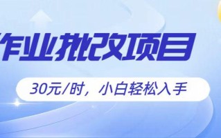 作业批改项目30元/时，简单小白轻松入手，非常适合兼职
