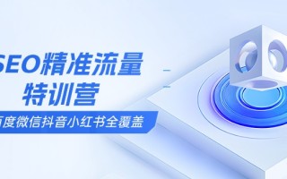 SEO精准流量特训营，百度微信抖音小红书全覆盖，带你搞懂搜索优化核心技巧