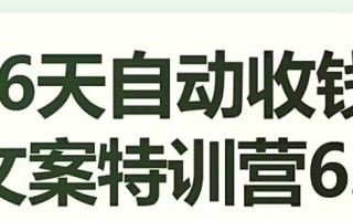16天自动收钱文案特训营6.0，学会儿每天自动咔咔收钱