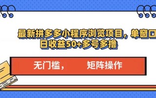 最新拼多多小程序变现项目，单窗口日收益50+多号操作