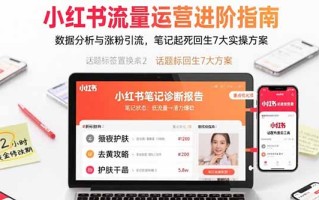 小红书流量运营进阶指南，数据分析与涨粉引流，笔记起死回生7大实操方案