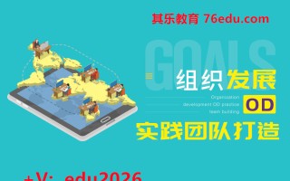 组织发展OD实践团队打造（3集） mp4高清无水印视频教程网盘免费下载