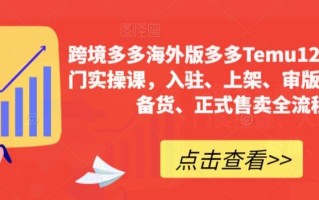 跨境多多海外版多多Temu12天快速入门实操课，入驻、上架、审版、核价、备货、正式售卖全流程