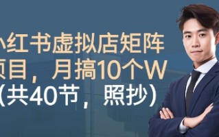 小红书虚拟店矩阵项目，照抄照做，月搞1W+(共40节)