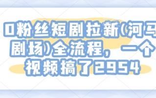 0粉丝短剧拉新(河马剧场)全流程，一个视频搞了2954