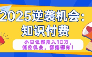 2025逆袭项目——知识付费，小白也能月入10万年入百万，抓住机会彻底翻…