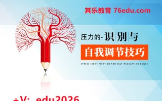 压力的识别与自我调节技巧（4集） mp4高清无水印视频教程网盘免费下载
