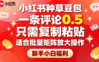 小红书种草豆包，一条评论0.5，只需复制粘贴，适合批量矩阵放大操作，新手小白福利