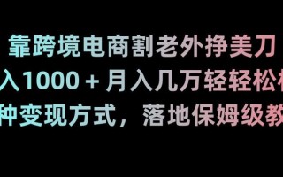 靠跨境电商割老外挣美刀，日入1000＋月入几万轻轻松松！多种变现方式，落地保姆级教程【揭秘】