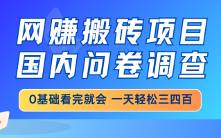 网赚搬砖项目，国内问卷调查，0基础看完就会 一天轻松三四百，靠谱副业…