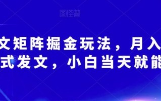 AI爆文矩阵掘金玩法，月入3W，傻瓜式发文，小白当天就能上手【揭秘】