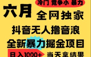 25年6月高爆抖音无人直播最新撸音浪掘金项目，小白可做，无脑日入1k+，门槛低可批量矩阵【揭秘】
