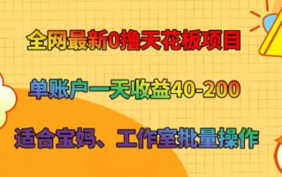 全网最新0撸天花板项目 单账户一天收益40-200 适合宝妈、工作室批量操作
