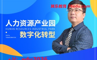 人力资源产业园数字化转型（7集） mp4高清无水印视频教程网盘免费下载