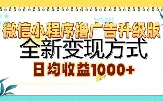 微信小程序撸广告升级版，全新变现方式，日均收益1000+