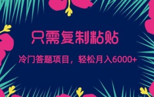 只需复制粘贴，冷门答题项目，轻松月入6000