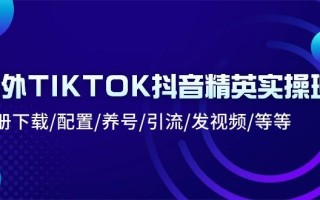 海外TIKTOK抖音精英实操班：注册下载/配置/养号/引流/发视频/等等