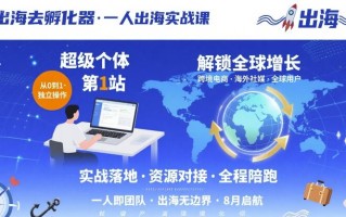 出海去孵化器，一人出海实战课，​超级个体第1站，解锁全球增长