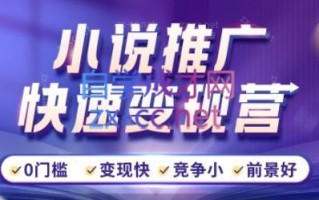 洲洲老师·小说推广快速变现营