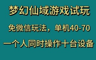 梦幻仙域游戏试玩，免微信玩法，单机40-70，一个人同时操作十台设备【揭秘】