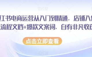 小红书电商运营从入门到精通，店铺入住全流程文档+爆款文案词，自有非凡收获
