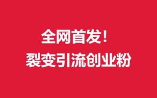 (全网首发)外面收费几千的裂变引流高质量创业粉