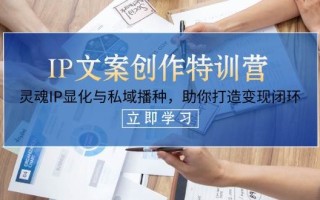 IP文案创作特训营，灵魂IP显化与私域播种，助你打造变现闭环(14节课)